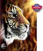 ANATOLIAN Puzzle Wild Tiger 1000 elementw Podgląd zdjęcia produktu 1