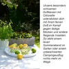 Müller Kerzen Citronella Cup, Zylinder, Mehrfarbig, Produktbild-Vorschau 8