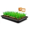 BigDean Pflanzschale 59x39x6 cm ideal als Pflanzwanne, Produktbild-Vorschau 8