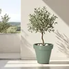 Fioriera in plastica XXL rotonda - Ø 58 cm / verde chiaro - Anteprima dell’immagine prodotto 5