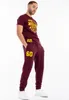Herren Jogginghose normale Passform SUMBURGH Oxblood/Yellow Produktbild-Vorschau 2