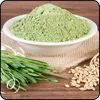 Junges Gerstengras Pulver 1 kg | Für Smoothies, Getränke Produktbild-Vorschau 2