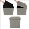 Pouf pieghevole con vano portaoggetti grigio 38x38x38cm Anteprima dell’immagine prodotto 11