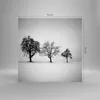 Bilder auf glas - Einteilig - Winter Bäume Schnee - 70x70cm Produktbild-Vorschau 3