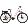Maxtron Urban 8 E-Bike 28 Zoll, 250W Ananda M60 Produktbild-Vorschau 2