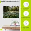 ARTland Poster Frühlingswald bedeckt mit Windröschen Größe: Produktbild-Vorschau 2