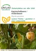 Artikelbild 1 von 'Kapstachelbeere / Andenbeere' aus der Kategorie Andenbeerensamen Náhled obrázku produktu