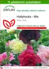 SAFLAX - Hollyhocks - Mix - Alcea rosea - 100 Semena - S Náhled obrázku produktu 1