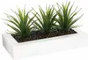 Atmosphera créateur d'intérieur umìlá aloe vera 3 kusy. Náhled obrázku produktu 1