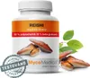 Mycomedica Reishi 50 % 90 kapslí Produktbild-Vorschau 3