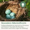 Orni Soldatenfliegenlarven getrocknet 1,5kg | Produktbild-Vorschau 7