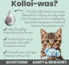 noms+ Silberspray 100ml mit 50ppm für Hunde und Katzen zur Produktbild-Vorschau 2