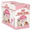 A product box for Royal Canin Kitten food. Voir les images du produit
