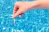 Bestway | Dosierschwimmer-Set inkl. 50 Teststreifen | 12,5 Produktbild-Vorschau 3