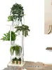 A white multi-tiered plant stand filled with various green plants, set against a plain white background. Produktbild-Vorschau