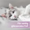 Felisept Fellpflegespray für Katzen 250ml Produktbild-Vorschau 5