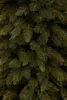 Triumph Tree Arbre de Noël artificiel Bristlecone Fir - Voir les images du produit 2