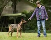 Max - Bester Freund. Held. Retter. Produktbild-Vorschau 3