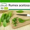 SAFLAX - BIO - šťavel - Rumex acetosa - 400 Semená - S Náhľad obrázku produktu 10