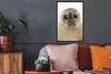 MuchoWow® Gerahmtes Poster Jungen - Robbe - Kinder - Produktbild-Vorschau 2