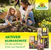 Neudorff NeudoHum Balkon- & KübelpflanzenErde - Torffreie Produktbild-Vorschau 8
