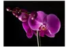 Basera Fototapete Orchideenmotiv 10040906-22, Vliestapete, Produktbild-Vorschau 2