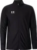 Under Armour Challenger Trainingsanzug Schwarz S Herren Produktbild-Vorschau 12