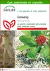 SAFLAX  - Ginseng - 10 semi - Con substrato - Panax Anteprima dell’immagine prodotto 1