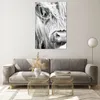 Bilder auf glas - Einteilig - Kuh Scotch Tier - 80x120cm - Produktbild-Vorschau 7