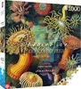 Cenega Imagination, 1000 kusov, Umenie Náhľad obrázku produktu 4