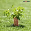 A young tree is planted in a grassy area, protected by a brown plastic tree guard. Produktbild-Vorschau