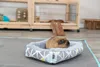 TRIXIE Kuschelbett Sunny - bunt/grau - 30 × 6 × 22 cm Produktbild-Vorschau 2