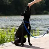 Ferplast daytona c40/69 - Hundehalsband, schwarz Produktbild-Vorschau 4