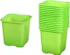 Nohel Garden Květník sadbový GREEN 8x8x8xcm 15ks Náhled obrázku produktu 1