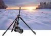 Stativ K&F Concept K234A0+BH-28L Produktbild-Vorschau 15