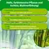 Purgrün Bambusdünger | Flüssigdünger für Vitalität | 1L Produktbild-Vorschau 3