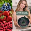 Obstwaschschüssel mit Abtropffunktion, Beeren Sieb Schale Produktbild-Vorschau 2