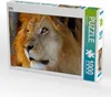 Calvendo Löwe 1000 Teile Puzzle quer 640x480mm, Tkocz Produktbild-Vorschau 1