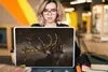 MuchoWow® Laptop Aufkleber Sticker Cover Rotwild - Schwarz Produktbild-Vorschau 5