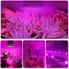 Collage of images showing LED grow lights illuminating various plants in different settings, including a greenhouse. Produktbild-Vorschau