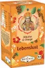 Shoti Maa - Lebenslust - Hibiskus & Orange - 16x2g Produktbild-Vorschau 6