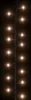 vidaXL Guirlande lumineuse LED avec 1000 LED blanc chaud 25 Voir les images du produit 7
