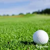Rasen-Topdressing - Mischung mit Mykorrhiza und Produktbild-Vorschau 6