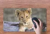 MuchoWow® Mauspad Mousepad Jungtier - Tier - Natur 60x30 cm Produktbild-Vorschau 3