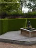 Lebensbaum Thuja Brabant 140-160 cm, 8x Heckenpflanze Produktbild-Vorschau 1