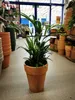 Runder Terrakotta-Gartentopf 44 x 52 cm Produktbild-Vorschau 4