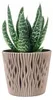 Bloempot met inzet SANDY Round 190, 158x138 mm, mocca Productafbeelding-voorbeeld 16