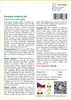 SAFLAX - Karibský korálový keř - Erythrina crista-galli - 6 Náhled obrázku produktu 3