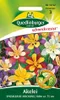 Quedlinburger Saatgut - Akelei - Samen - 501452 Produktbild-Vorschau 1