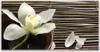 Tulup Leinwand-Bilder 120x60 Wandbild Canvas Kunstdruck Produktbild-Vorschau 1
